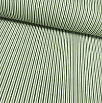 Green and white thin striped fabric for upholstery curtain soft furnishing and home decor.