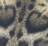 Close up of a leopard print upholstery fabric texture.